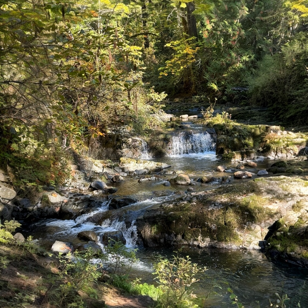 Nature Photo by James Arnett